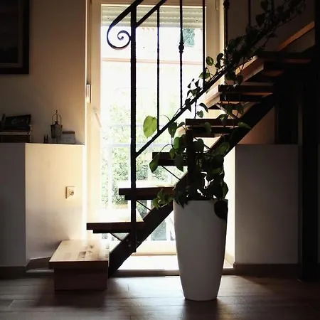 Andreja, Center Apartment